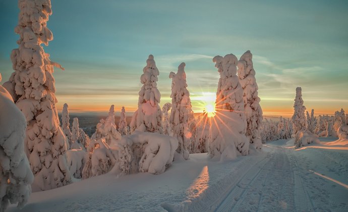 Incentive Reise nach Lappland