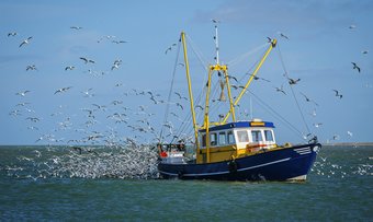 Fischkutter auf der Nordsee